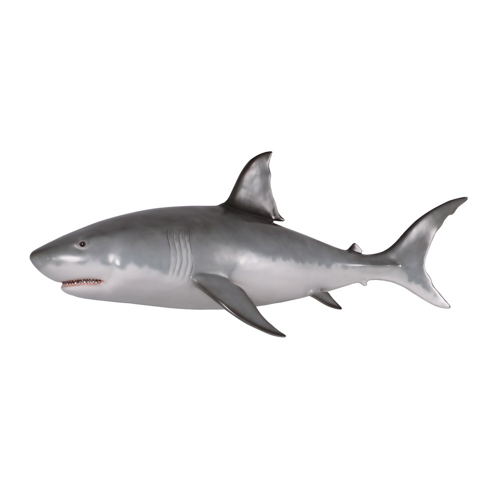 Wall Mounted Great White Shark 6ft