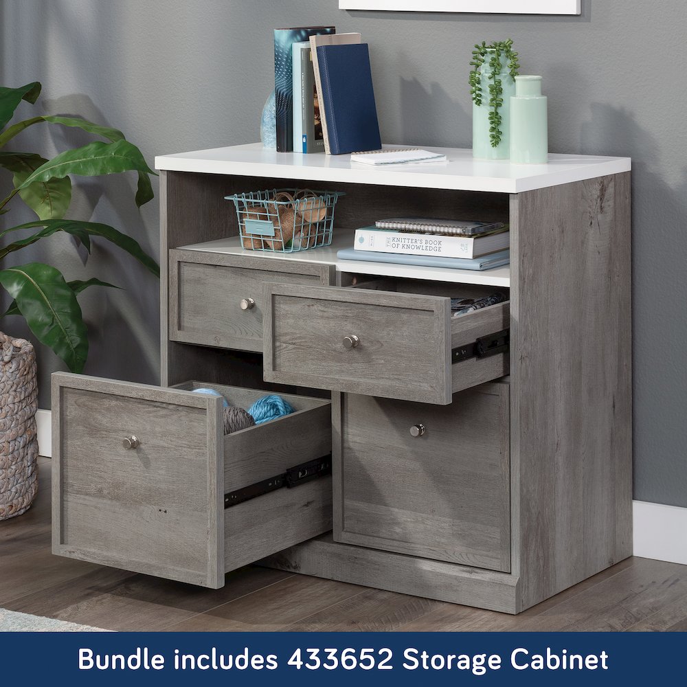 Craft Pro Series Storage Cabinet Ste