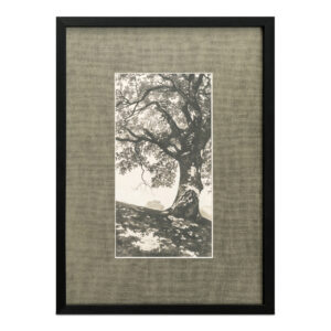 The Arise framed print embraces the serenity of a sunlit countryside morning. This piece invites pause and reflection
