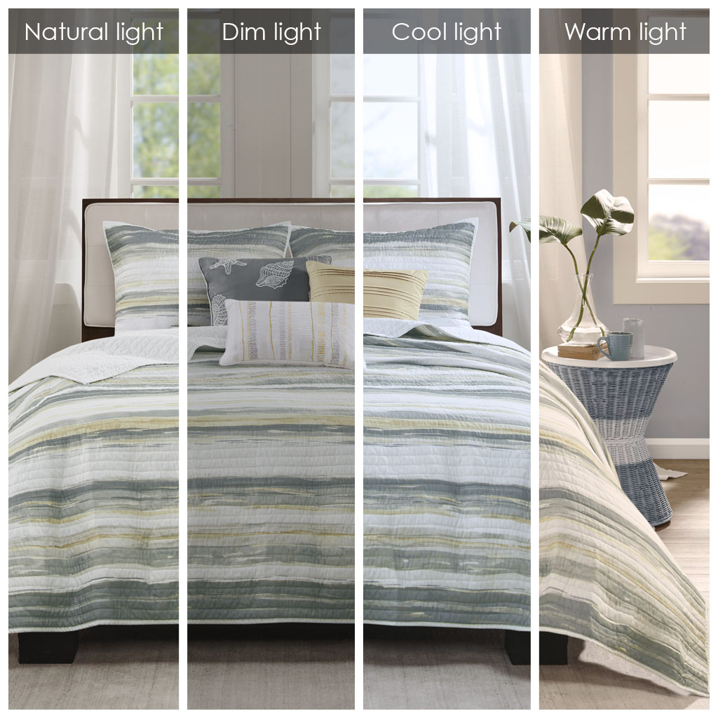 Marina 6 Piece Printed Quilt Set with Throw Pillows