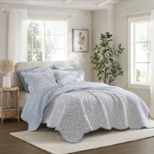 Darcy 3 Piece Print Quilt Set from Madison Park in  Blue. Darcy 3 Piece Print Quilt Set from Madison Park in  Blue. Darcy 3 Piece Print Quilt Set from Madison Park in  Blue. Darcy 3 Piece Print Quilt Set from Madison Park in  Blue. Darcy 3 Piece Print Quilt Set from Madison Park in  Blue.