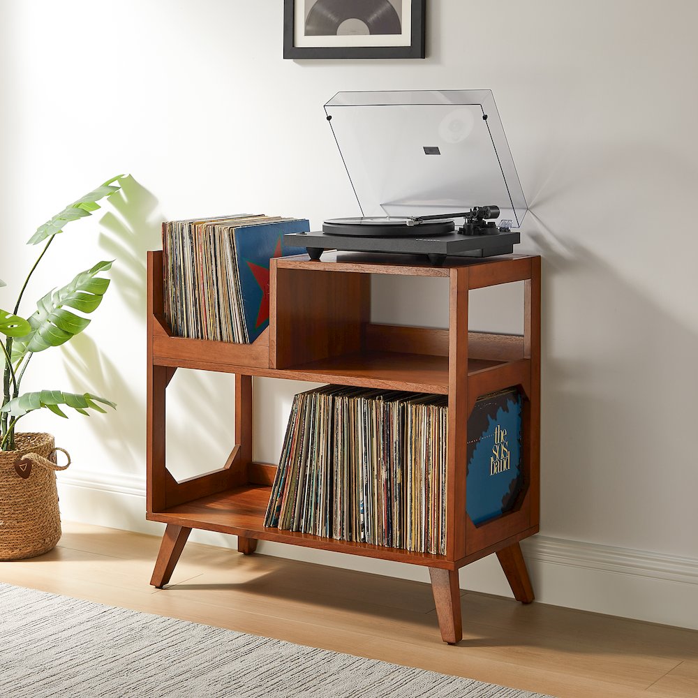 Asheville Medium Record Player Stand With Vinyl Storage