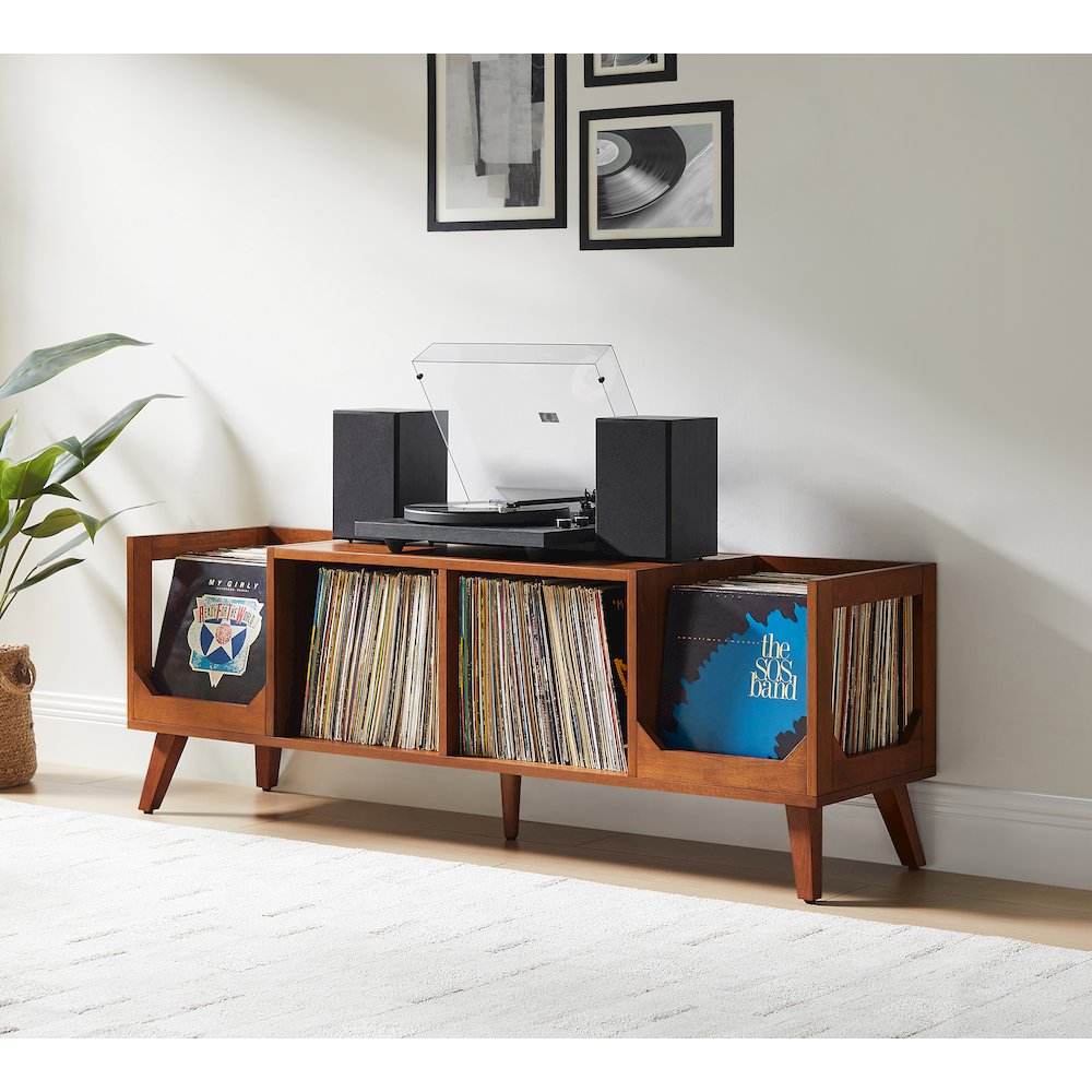 Asheville Low Record Player Stand With Vinyl Storage