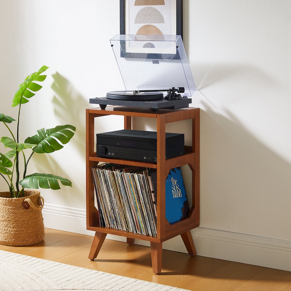 Asheville Small Record Player Stand With Vinyl Storage