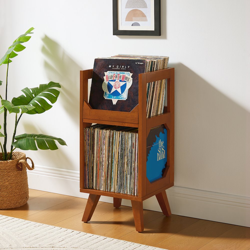 Asheville Small Vinyl Record Storage Stand