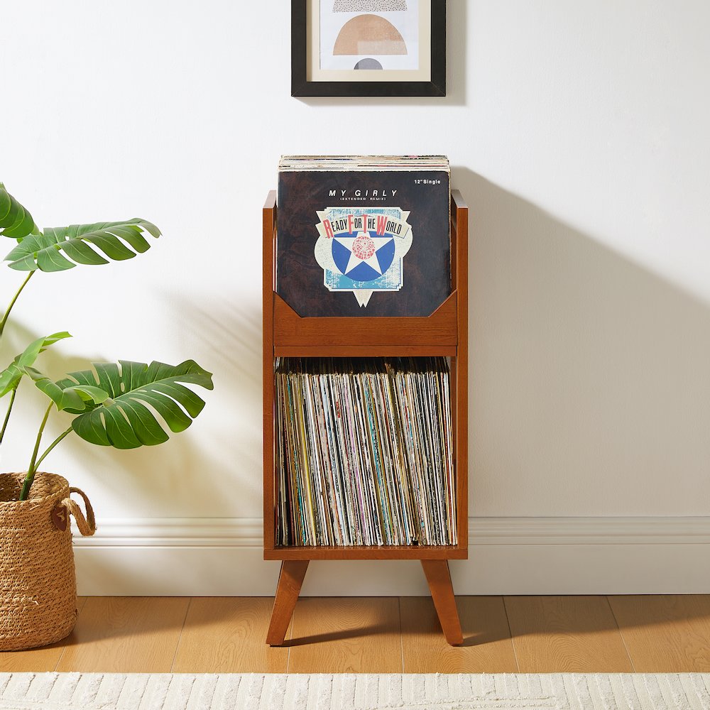 Asheville Small Vinyl Record Storage Stand