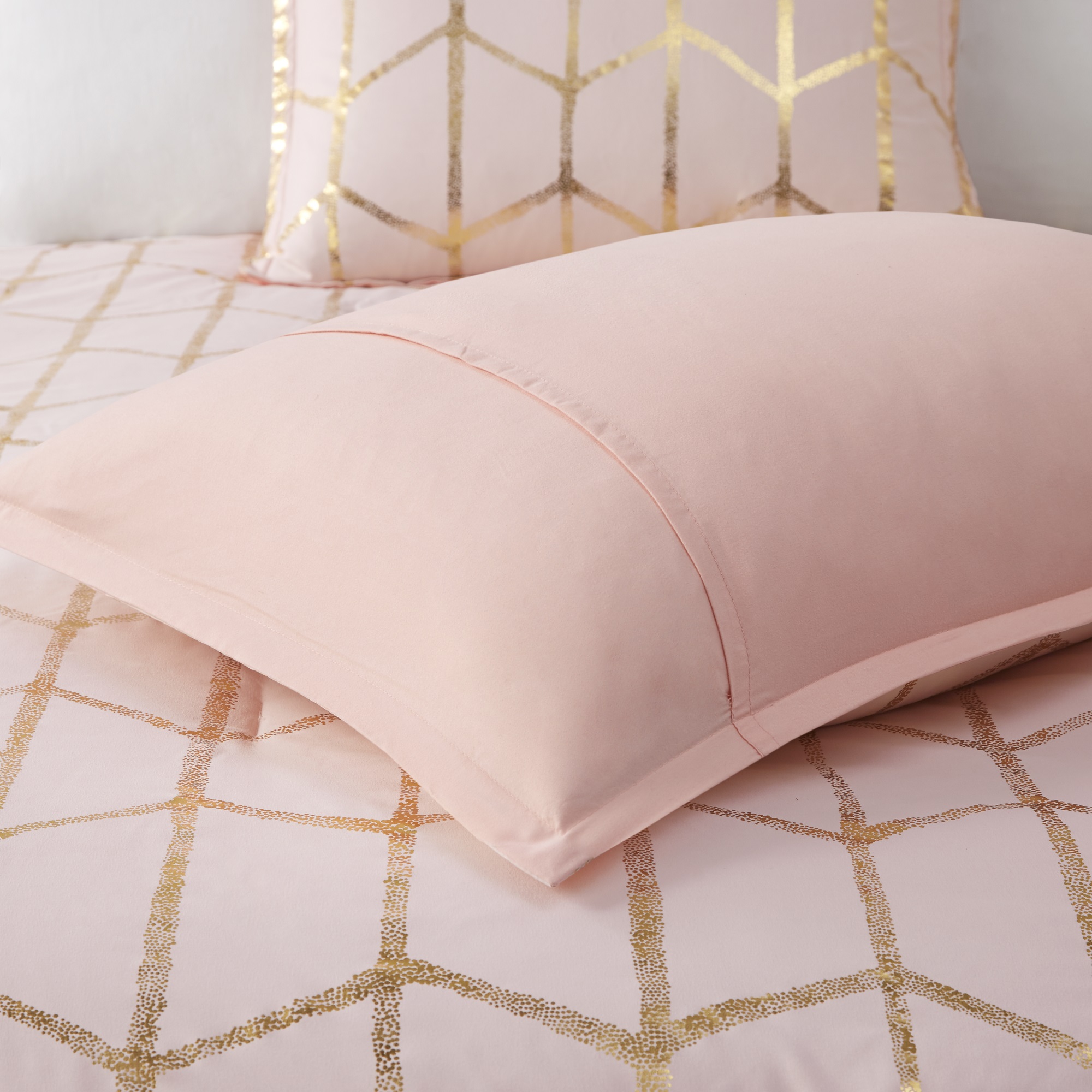Raina 100% Polyester Brushed Microfiber Printed Comforter Set