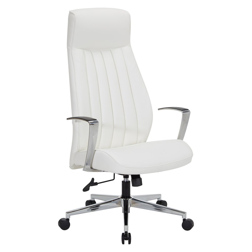 High-Back Ion Technology in Dillon snow Chair with Fixed Padded Aluminum Arms