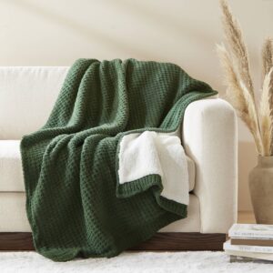 Rowan Waffle Knit Chenille Throw from Madison Park in  Green. Rowan Waffle Knit Chenille Throw from Madison Park in  Green. Rowan Waffle Knit Chenille Throw from Madison Park in  Green. Rowan Waffle Knit Chenille Throw from Madison Park in  Green. Rowan Waffle Knit Chenille Throw from Madison Park in  Green.