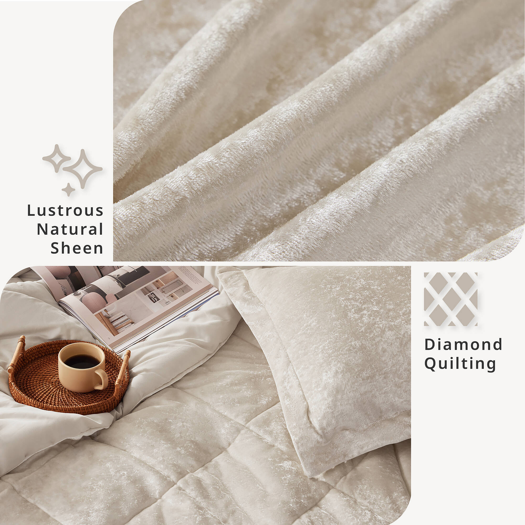 Felicia Velvet Comforter Set with Throw Pillow