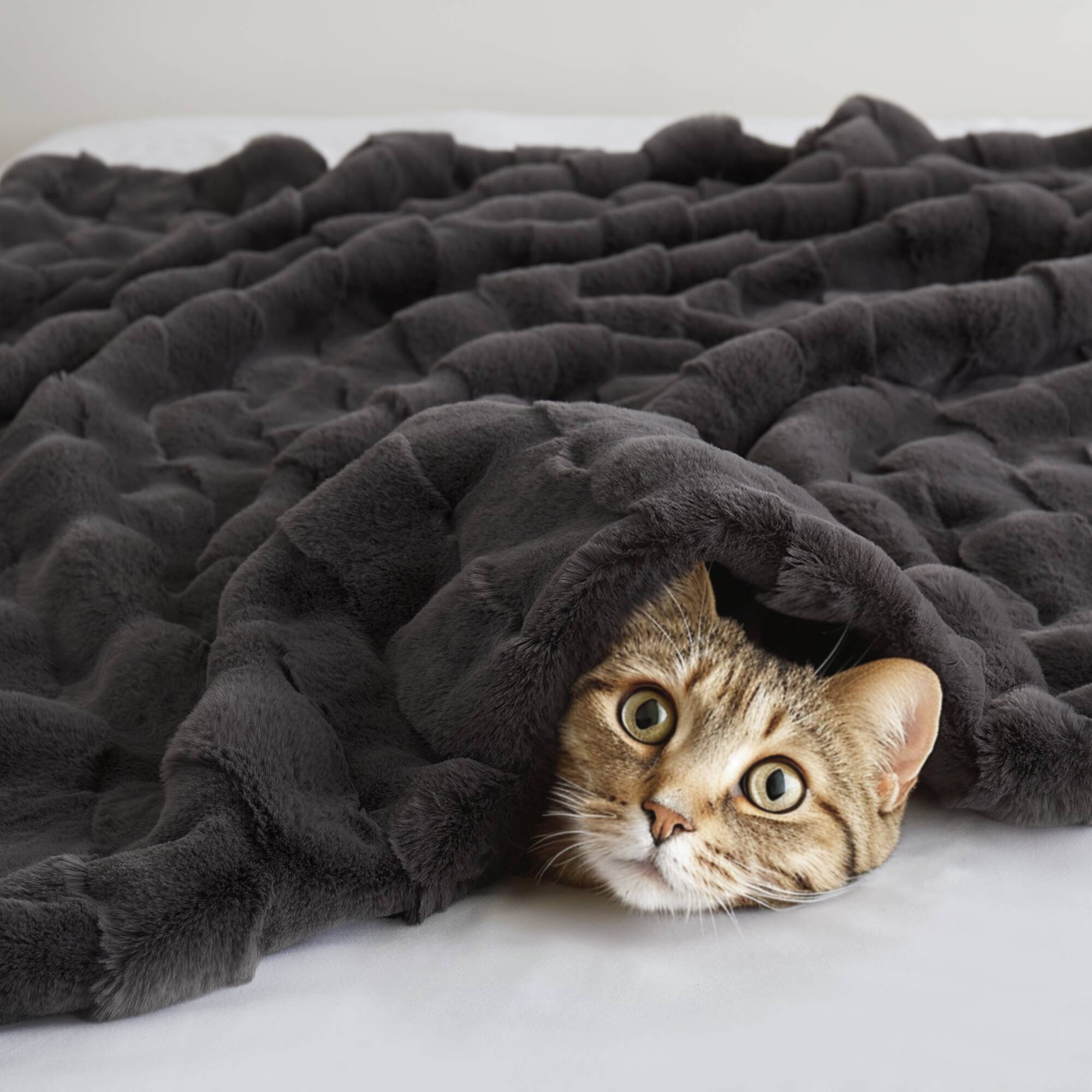 Vivienne Faux Fur Throw