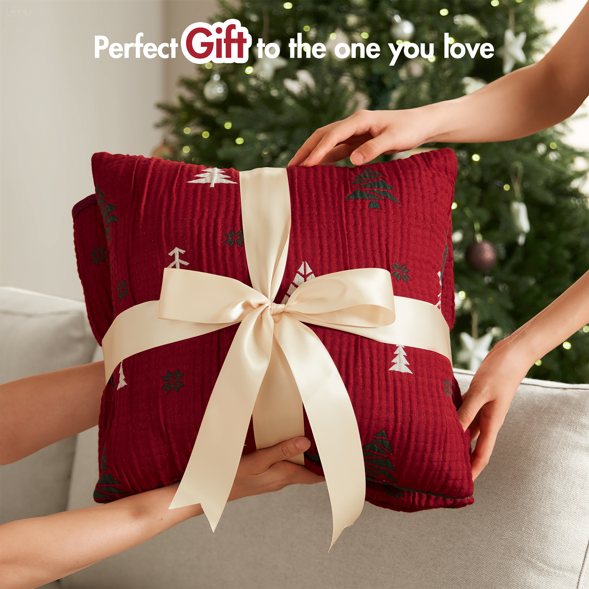 Winter 2 Pieces Throw Set