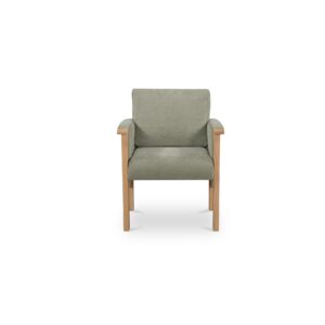 Bauer Dining Chair Sage from Moe