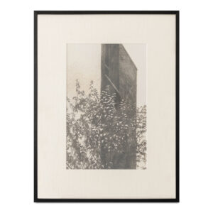 Retreat 2 Framed Print from Moe