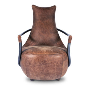 Carlisle Club Chair Brown from Moe