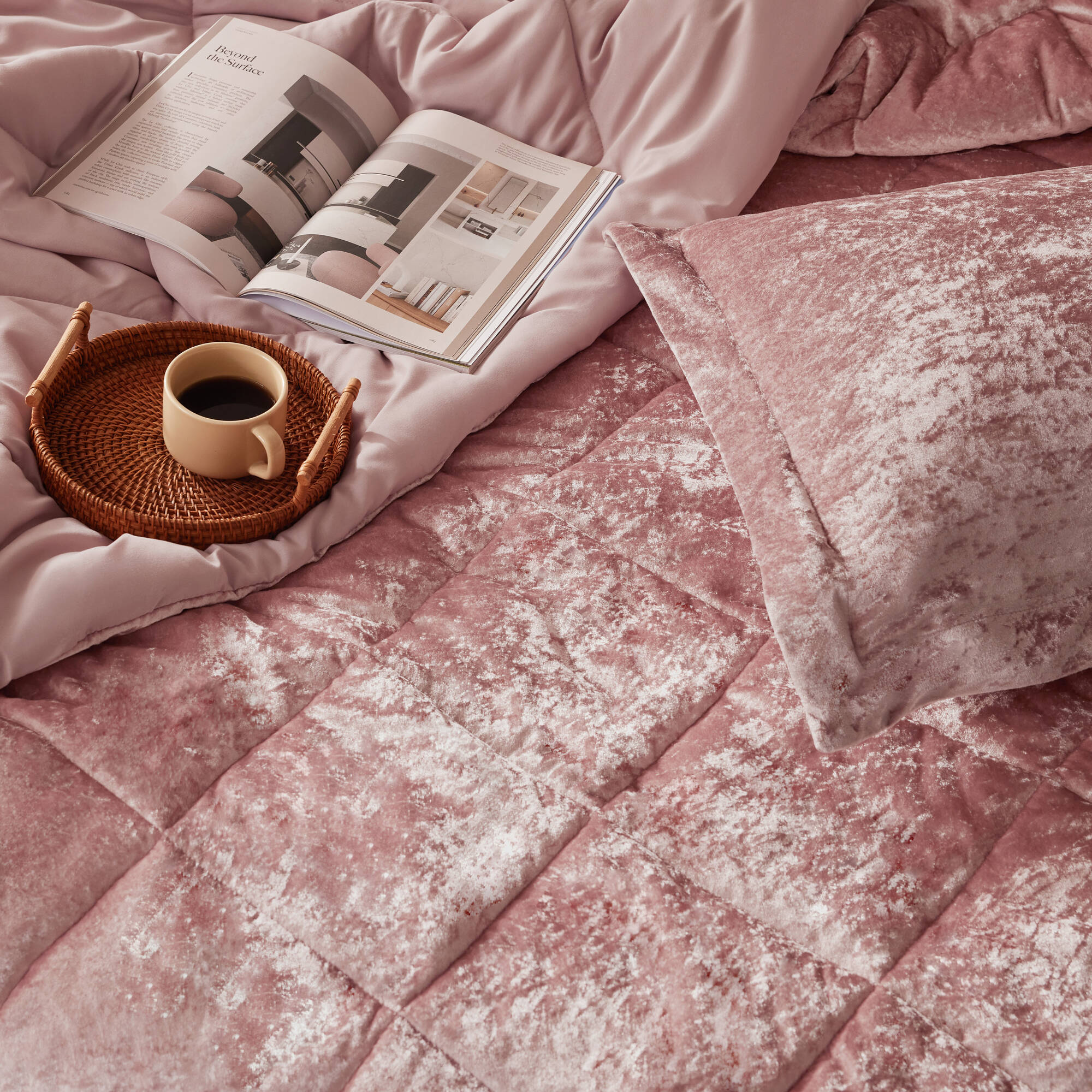 Felicia Velvet Comforter Set with Throw Pillow