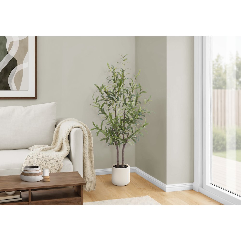 Olive Tree