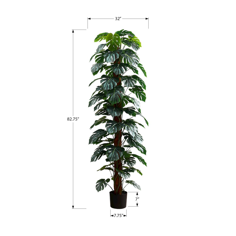 Monstera Tree
