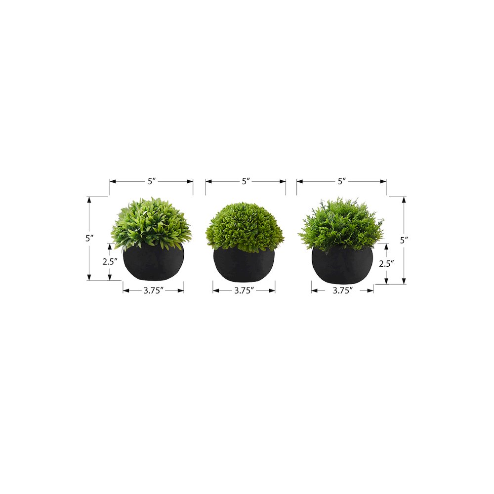 Grass
