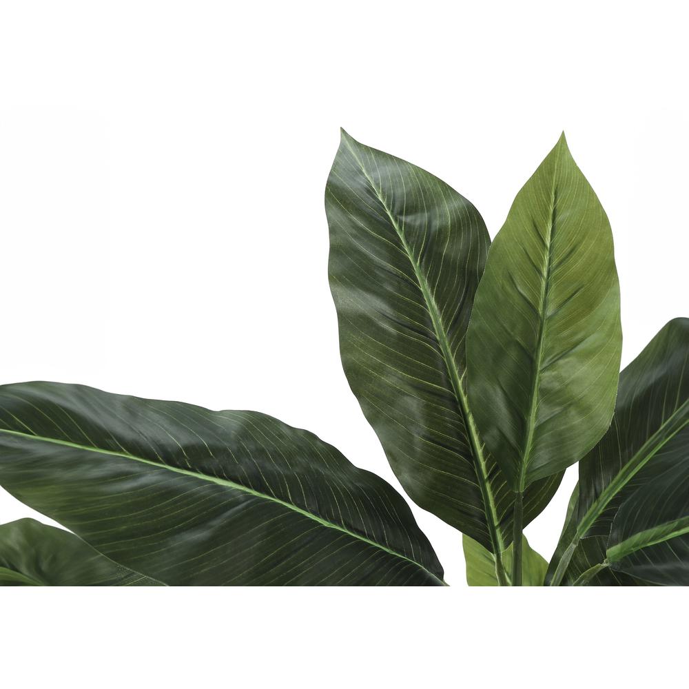 Evergreen Tree