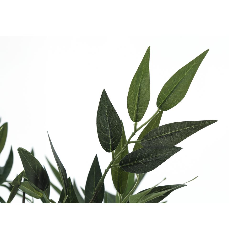 Acacia Tree
