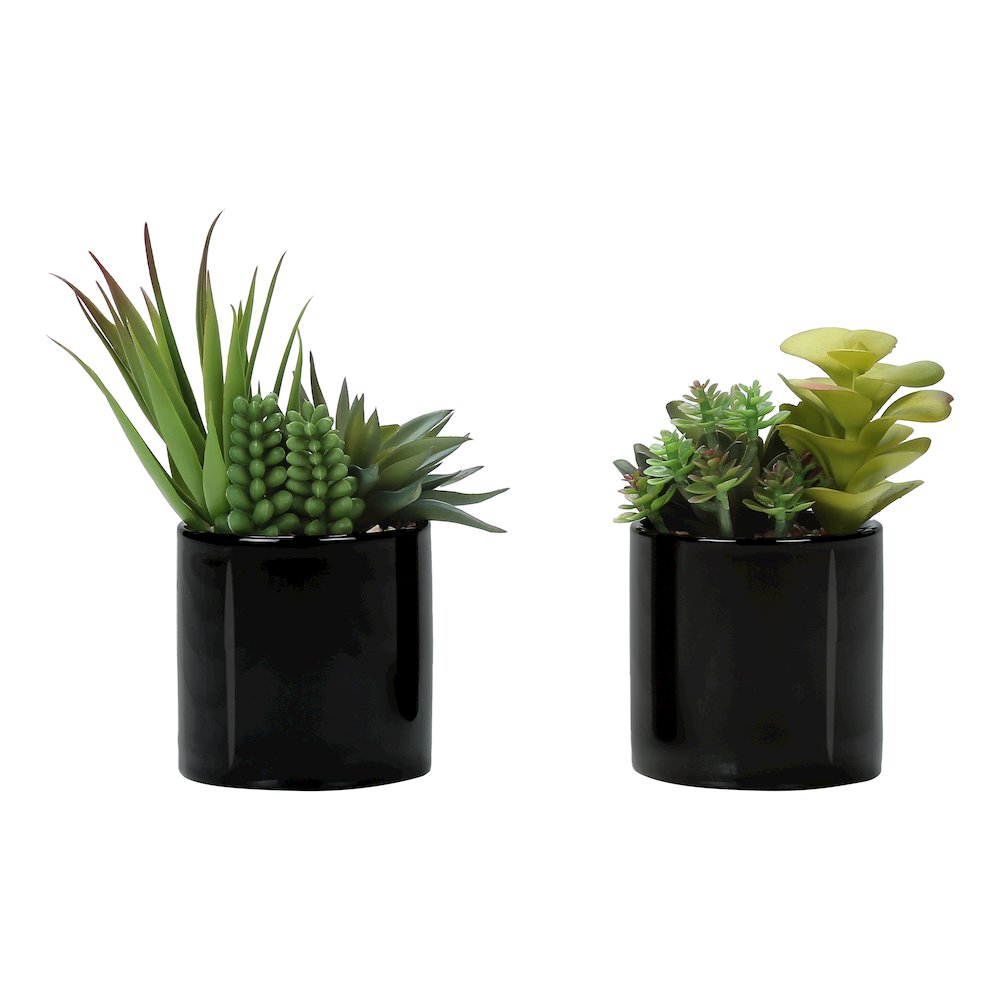 Artificial Plant
