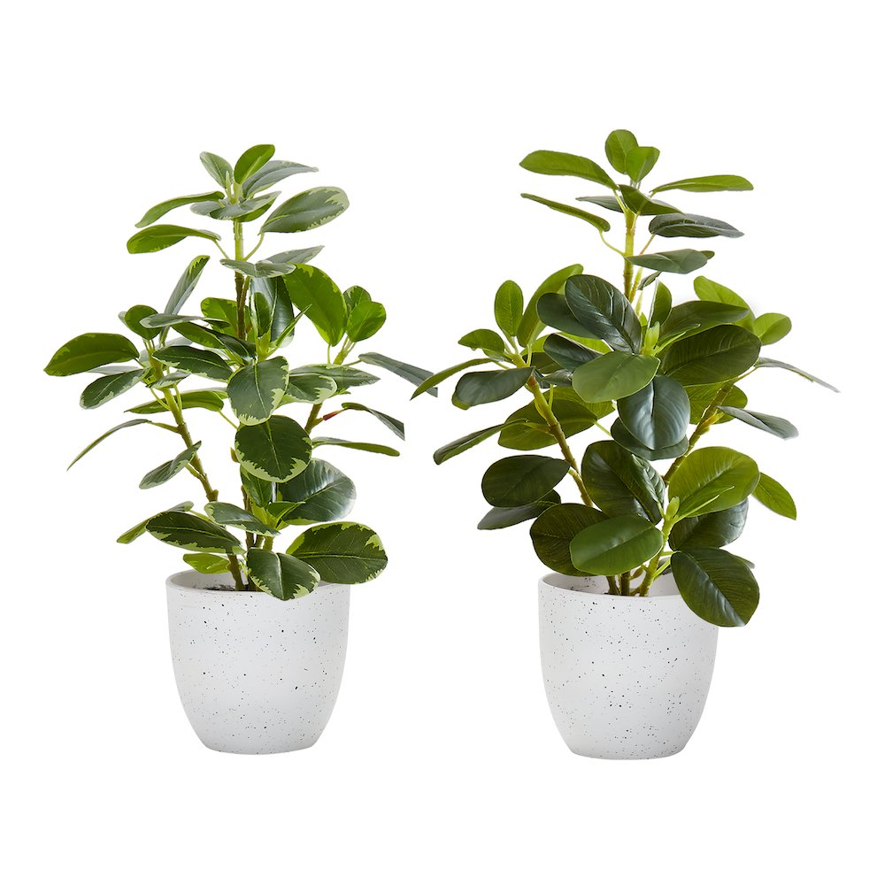 Artificial Plant
