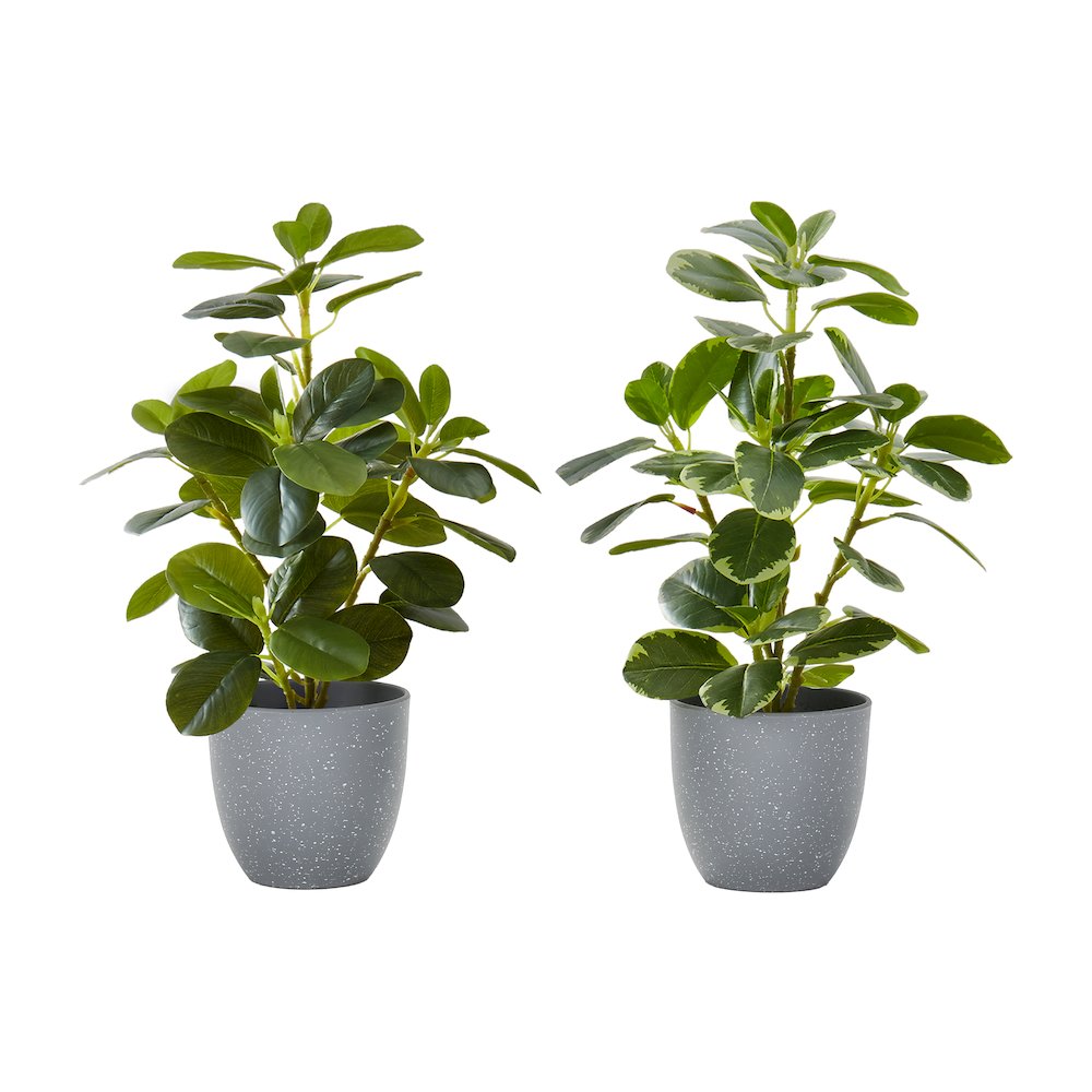 Artificial Plant