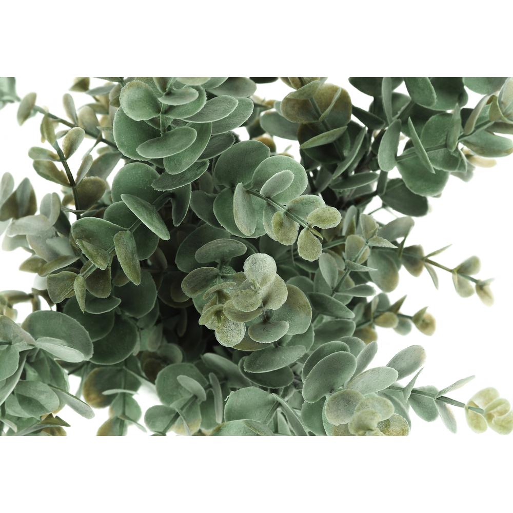 Eucalyptus Grass