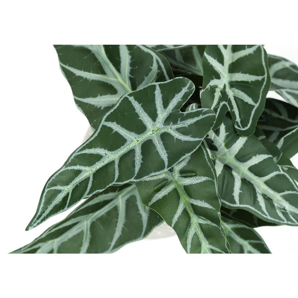 Indoor