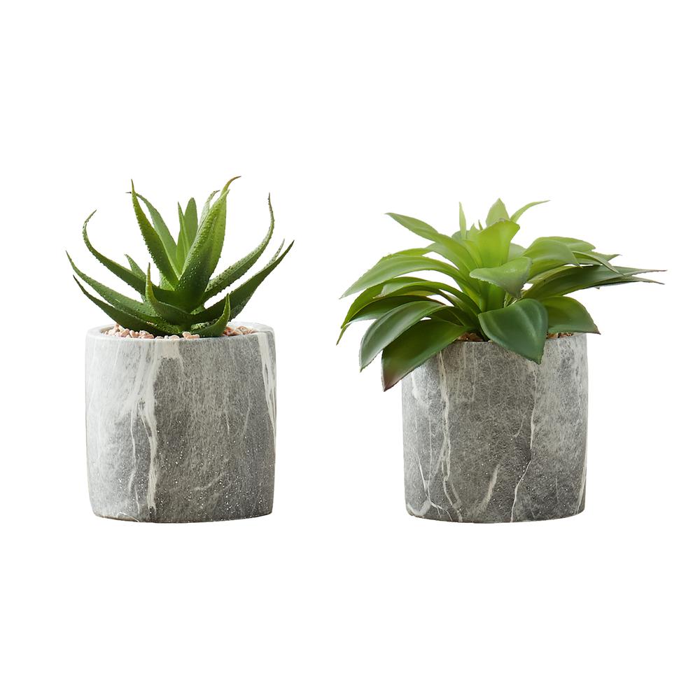 Artificial Plant