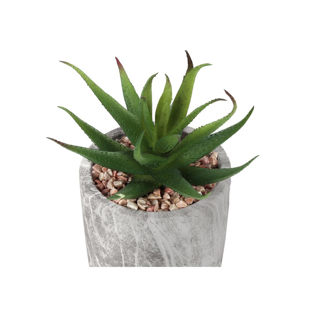 6 Tall