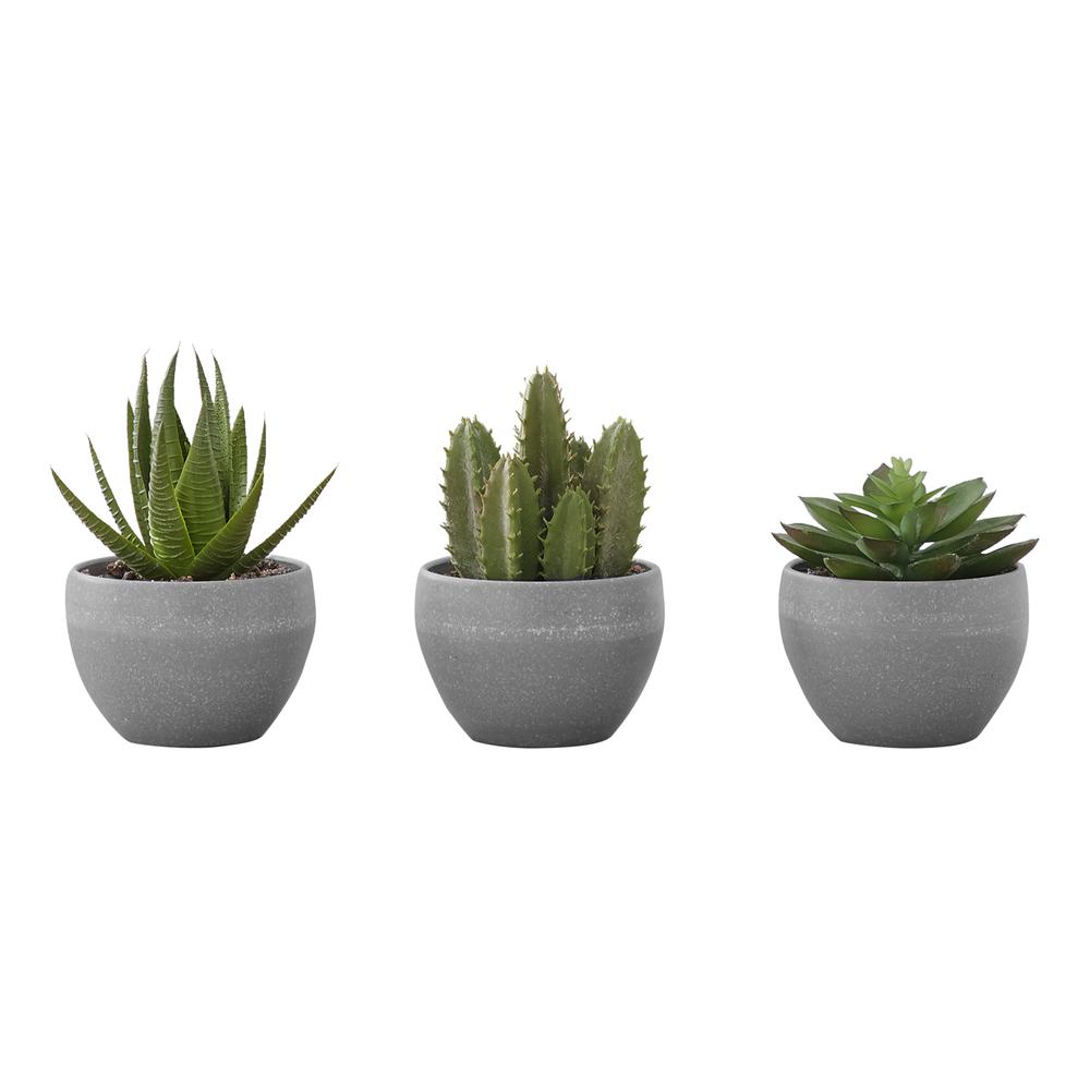 Artificial Plant