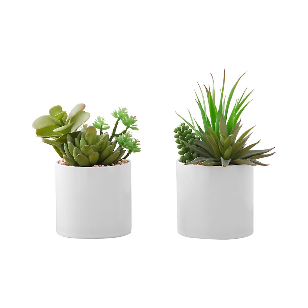 Artificial Plant