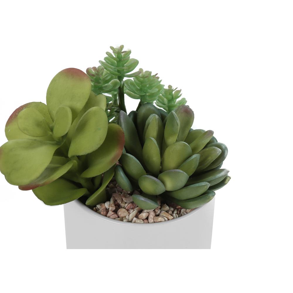 7 Tall