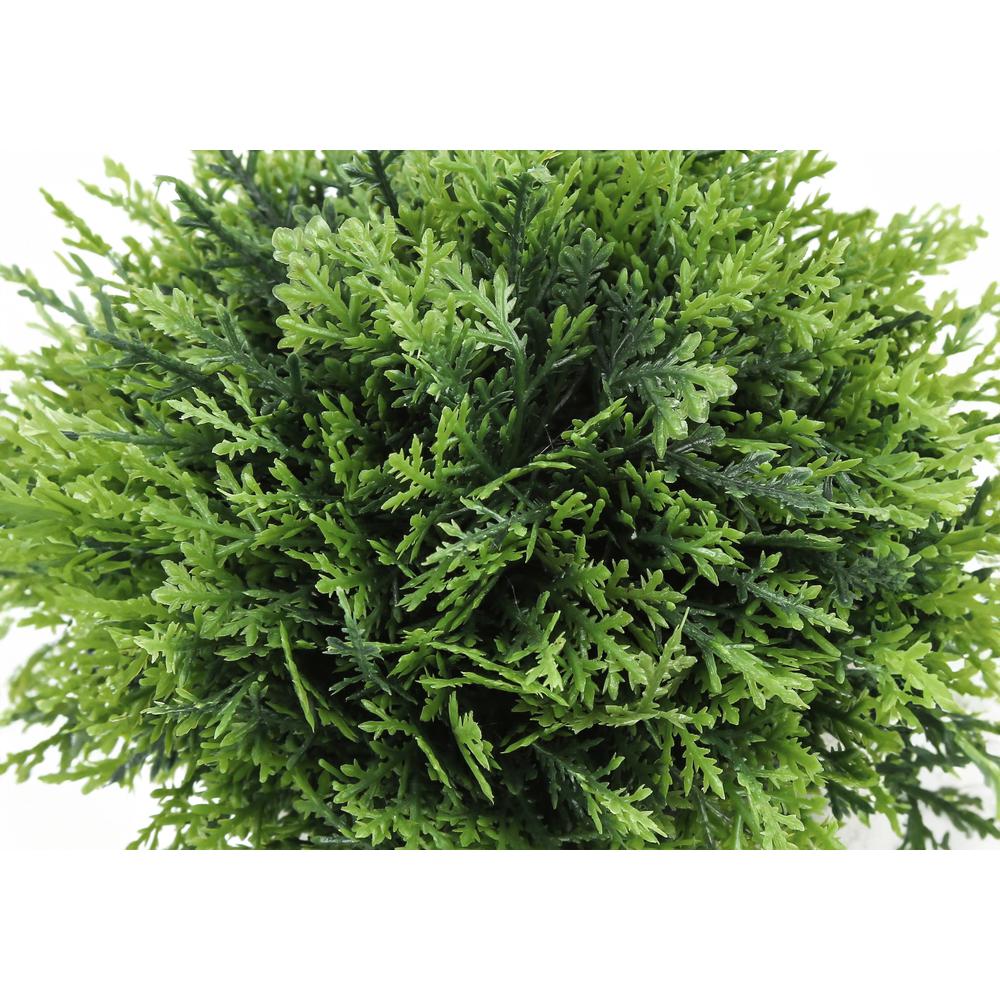 Grass