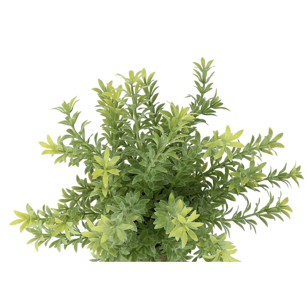 12″” Tall
