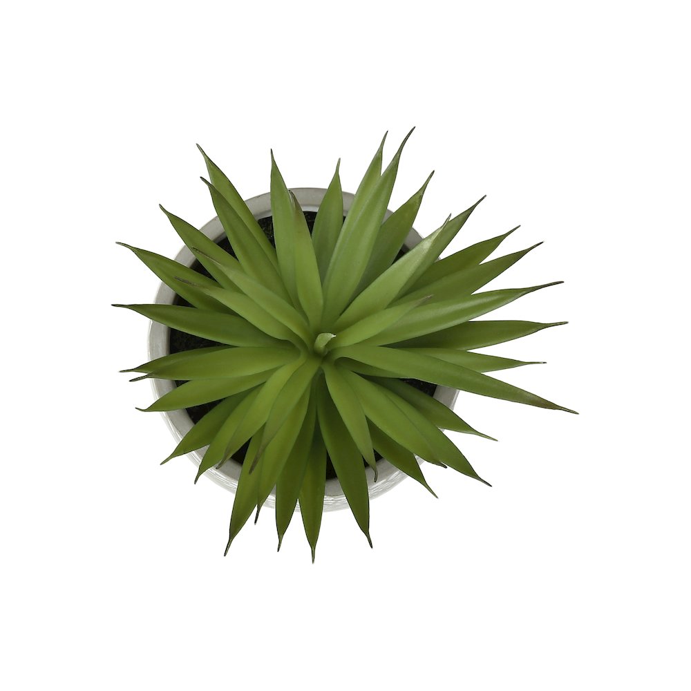 9″” Tall