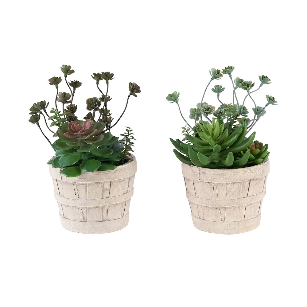 Artificial Plant