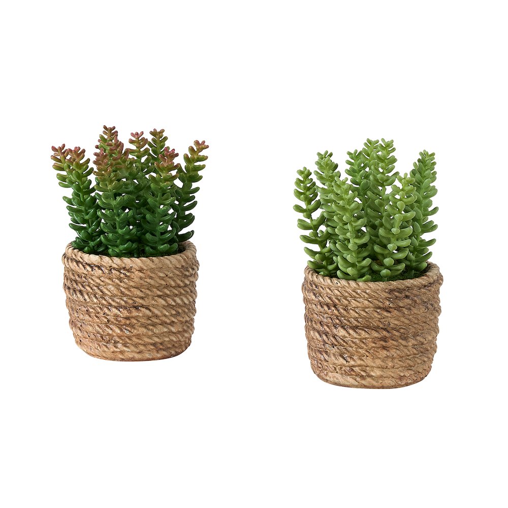 Artificial Plant