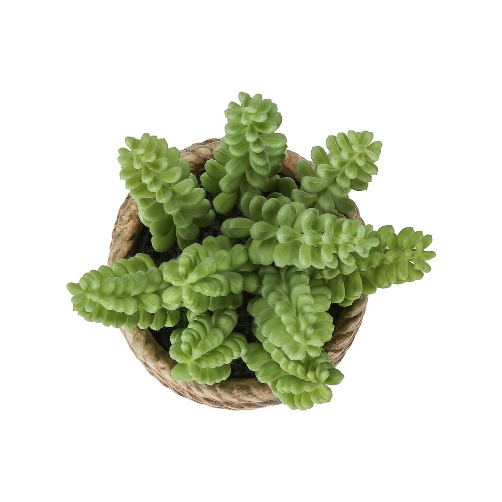 7″” Tall