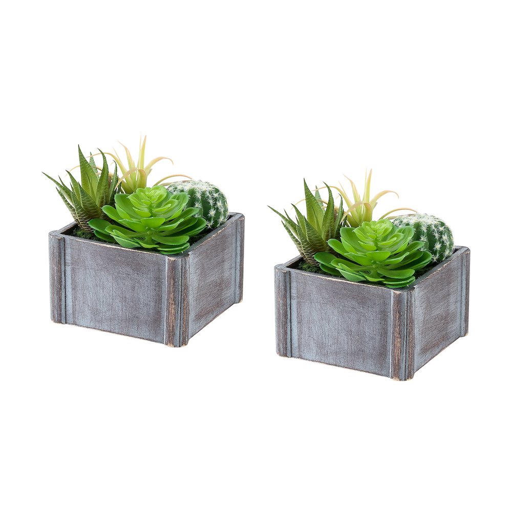 Artificial Plant