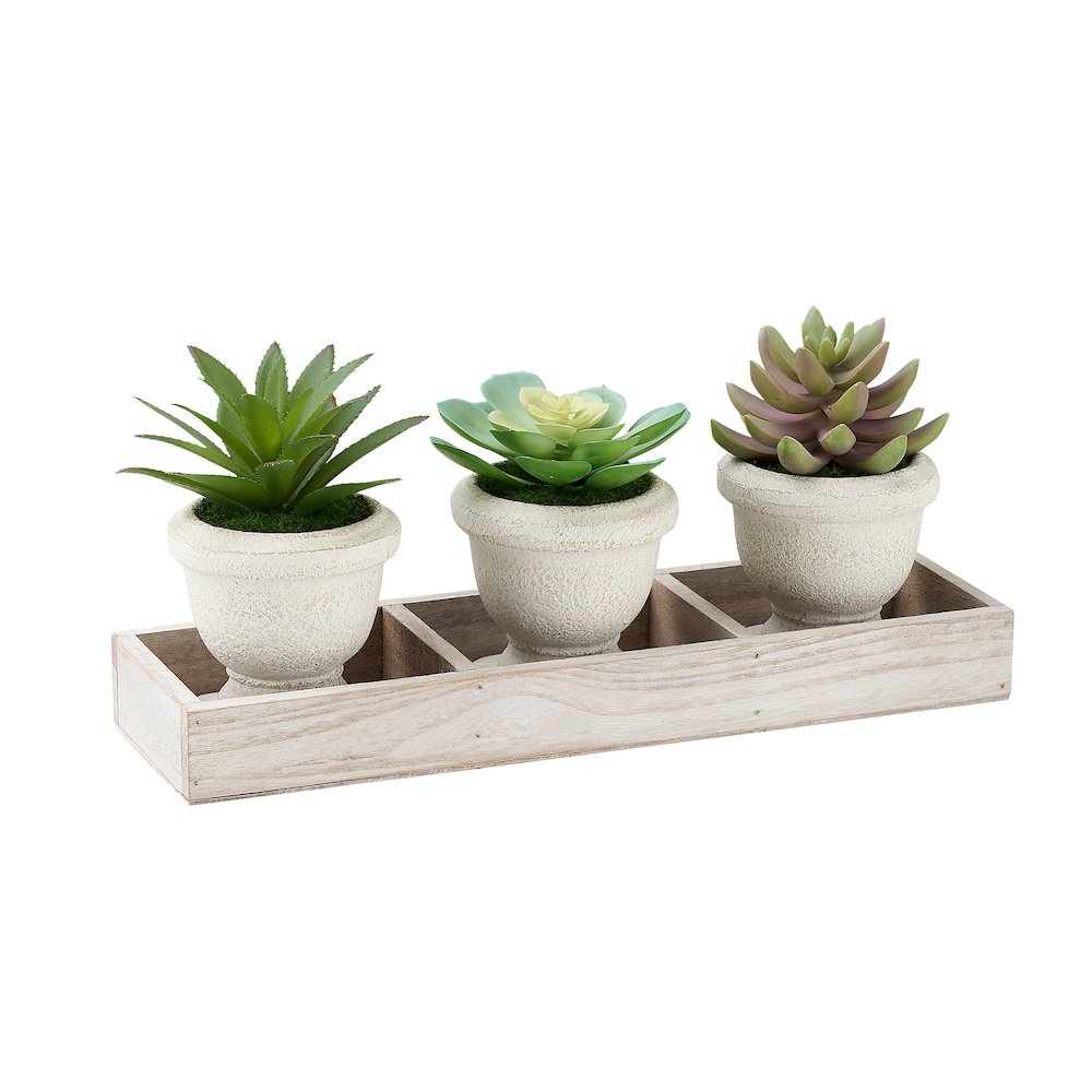 Artificial Plant