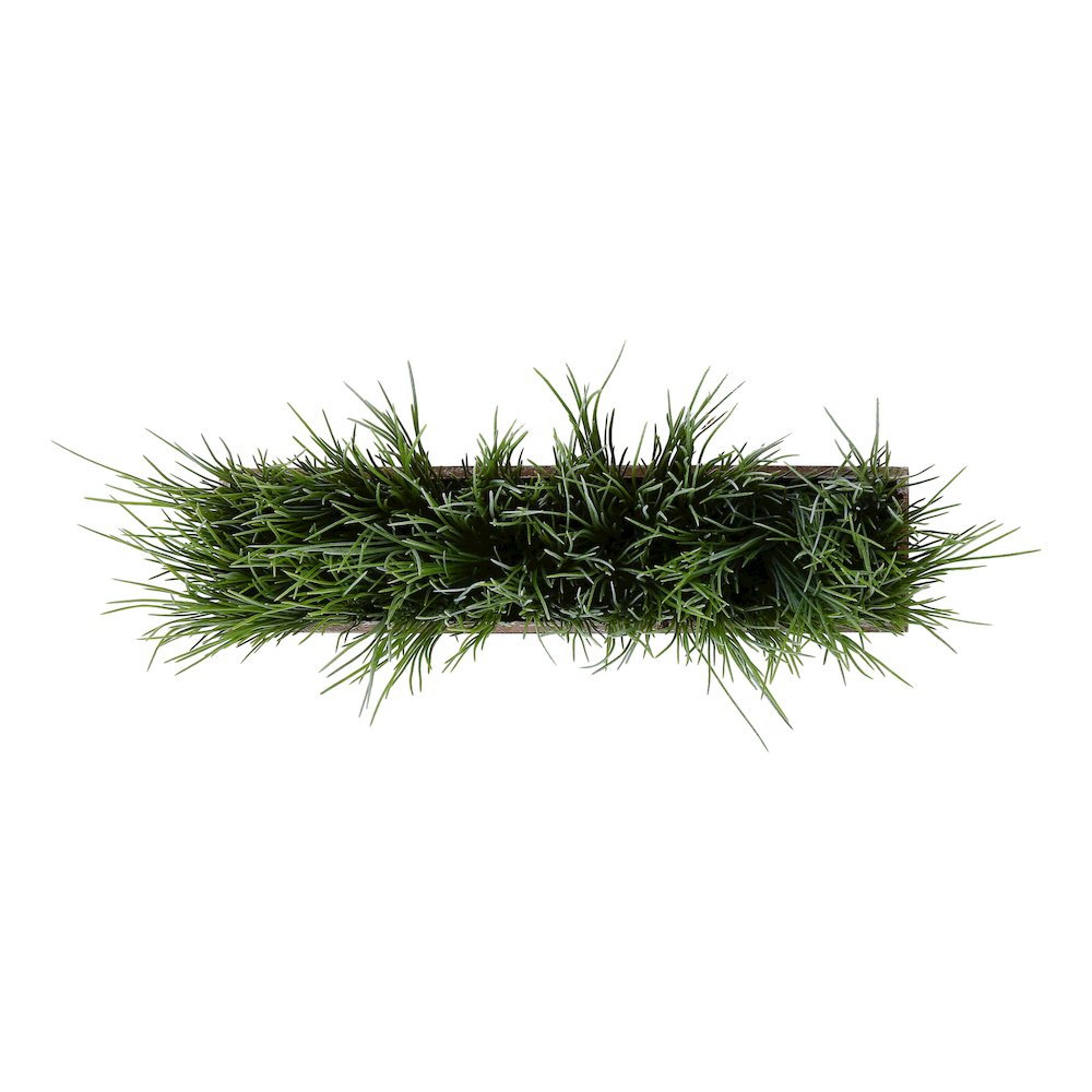 Grass