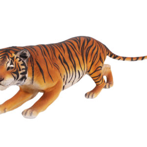 Indoor or Outdoor Bengal Tiger