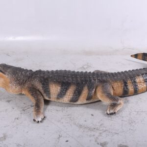 lifelike Alligator measures 94.75 inches Long X 33.5 inches Wide X 9.75 inches Tall