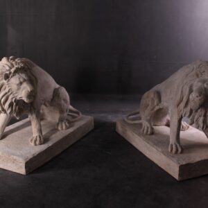 The Pair of 39 inch Symmetrical Entry Lions in Rough Stone stand 52 inches wide X 30 inches deep X 39 inches tall each. The Lions are hand Cast in durable Fiberglass reinforced sandstone and have a lightly aged rough stone finish suitable for outdoor or indoor use. Each Lion mold is expertly carved to capture the greatest attention to detail