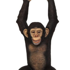 Our Hanging Jungle Jimmy K is a fun-loving creation from the Animal Collection of Whimsical Treasures