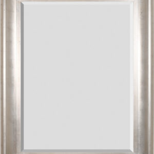 With the popularity of our Sterling Mirror Collection comes this new slimmer profile option. It can be hung either direction with the attached hangers. The mirror comes with a large 1 1/4 inch Beveled mirror. The frame is made of solid wood with a trending Silver leaf Champagne Finish. Offering a clean and modern interior design applications. No Assembly Required.