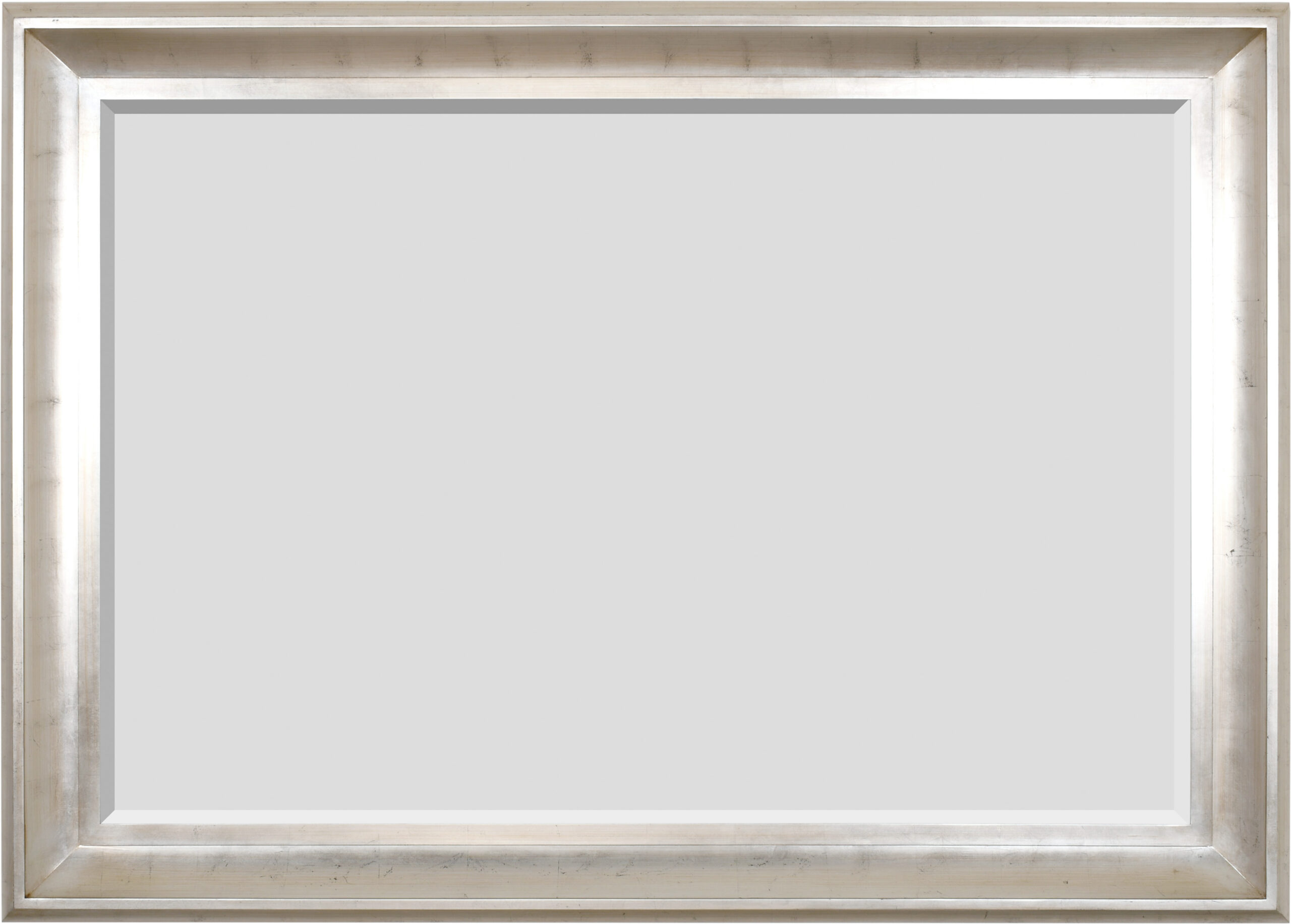The Sterling Mirror 48X72 Silver with Champagne Wash